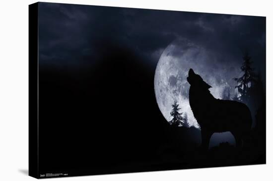 Wolf - Howl-Trends International-Stretched Canvas