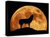 Wolf Howling at Full Moon, Side View in Silhouette-null-Stretched Canvas