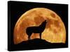 Wolf Howling at Full Moon, Side View in Silhouette-null-Stretched Canvas