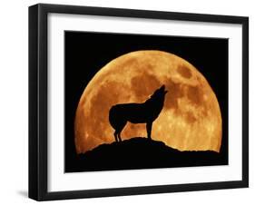 Wolf Howling at Full Moon, Side View in Silhouette-null-Framed Photographic Print