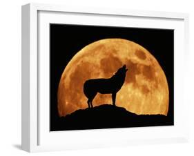Wolf Howling at Full Moon, Side View in Silhouette-null-Framed Photographic Print