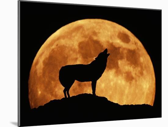 Wolf Howling at Full Moon, Side View in Silhouette-null-Mounted Photographic Print