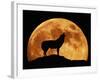 Wolf Howling at Full Moon, Side View in Silhouette-null-Framed Photographic Print