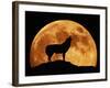 Wolf Howling at Full Moon, Side View in Silhouette-null-Framed Photographic Print