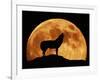 Wolf Howling at Full Moon, Side View in Silhouette-null-Framed Photographic Print