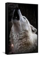 Wolf Howling-Lantern Press-Framed Stretched Canvas