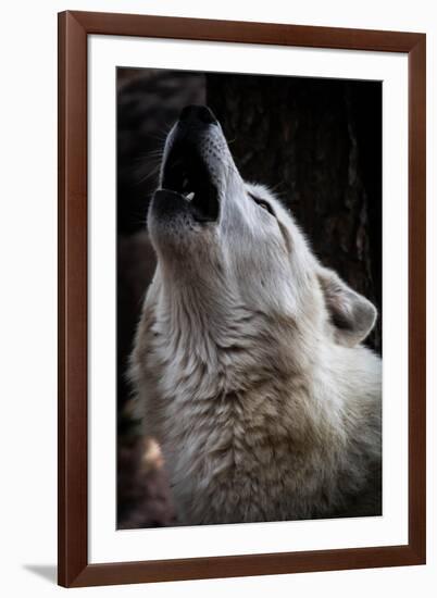 Wolf Howling-Lantern Press-Framed Art Print