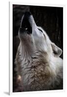 Wolf Howling-Lantern Press-Framed Art Print