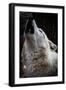 Wolf Howling-Lantern Press-Framed Art Print