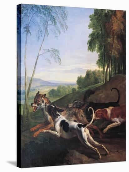 Wolf Hunting, Painting by Alexandre-Francois Desportes (1661-1743), France, 17th Century-Alexandre-Francois Desportes-Stretched Canvas