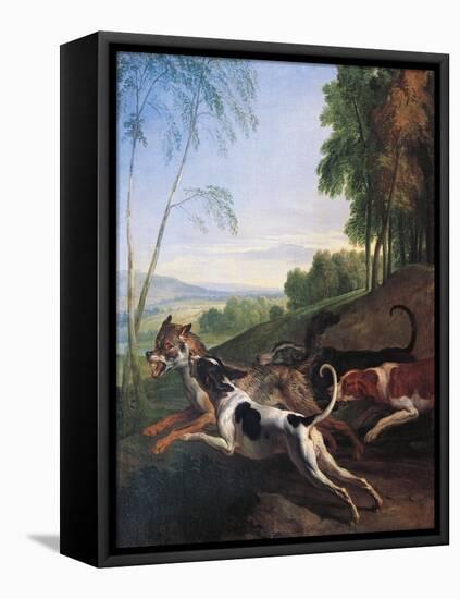 Wolf Hunting, Painting by Alexandre-Francois Desportes (1661-1743), France, 17th Century-Alexandre-Francois Desportes-Framed Stretched Canvas