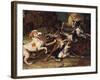 Wolf Hunting-Alexandre-Francois Desportes-Framed Giclee Print