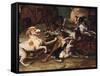 Wolf Hunting-Alexandre-Francois Desportes-Framed Stretched Canvas