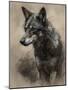 Wolf I-Sasha-Mounted Giclee Print