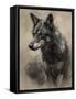 Wolf I-Sasha-Framed Stretched Canvas