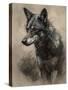 Wolf I-Sasha-Stretched Canvas