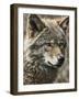 Wolf III-Sasha-Framed Giclee Print