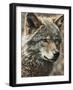 Wolf III-Sasha-Framed Giclee Print