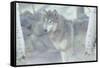 Wolf in the Mist-Gordon Semmens-Framed Stretched Canvas