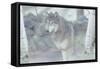 Wolf in the Mist-Gordon Semmens-Framed Stretched Canvas