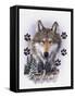 Wolf Montage, Winter-William Vanderdasson-Framed Stretched Canvas