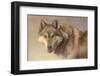 Wolf Portrait-Kalon Baughan-Framed Giclee Print