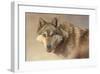 Wolf Portrait-Kalon Baughan-Framed Giclee Print