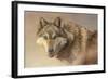 Wolf Portrait-Kalon Baughan-Framed Art Print