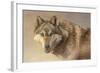 Wolf Portrait-Kalon Baughan-Framed Art Print