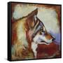 Wolf Portrait-Corina St. Martin-Framed Stretched Canvas