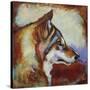 Wolf Portrait-Corina St. Martin-Stretched Canvas