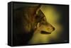 Wolf Profile HL1-Gordon Semmens-Framed Stretched Canvas