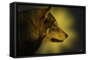 Wolf Profile HL1-Gordon Semmens-Framed Stretched Canvas