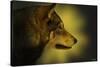 Wolf Profile HL1-Gordon Semmens-Stretched Canvas