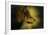 Wolf Profile HL1-Gordon Semmens-Framed Photographic Print