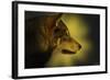 Wolf Profile HL1-Gordon Semmens-Framed Photographic Print