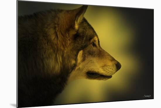 Wolf Profile HL1-Gordon Semmens-Mounted Photographic Print