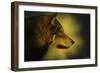 Wolf Profile HL1-Gordon Semmens-Framed Photographic Print