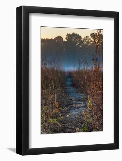 Wolf Road Prairie Trail-Steve Gadomski-Framed Photographic Print
