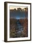 Wolf Road Prairie Trail-Steve Gadomski-Framed Photographic Print