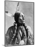 Wolf Robe, Cheyenne Indian Chief-Science Source-Mounted Giclee Print