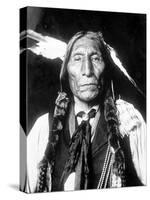 Wolf Robe, Cheyenne Indian Chief-Science Source-Stretched Canvas