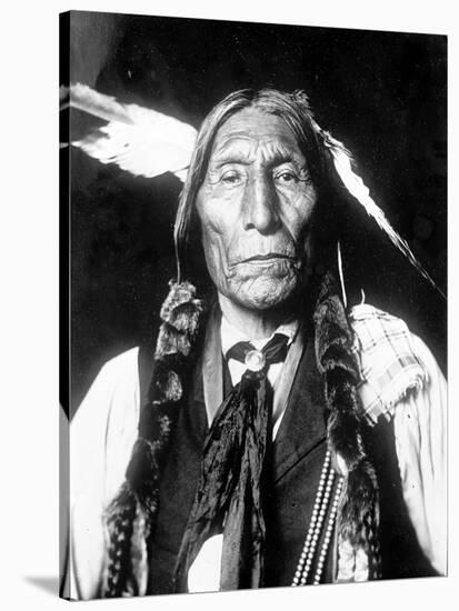Wolf Robe, Cheyenne Indian Chief-Science Source-Stretched Canvas