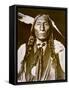 Wolf Robe-Delancey Gill-Framed Stretched Canvas