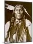 Wolf Robe-Delancey Gill-Mounted Photographic Print