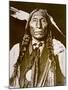 Wolf Robe-Delancey Gill-Mounted Photographic Print