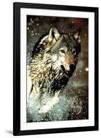 Wolf Running in Water-null-Framed Photo