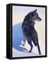 Wolf Study I-Julie Chapman-Framed Stretched Canvas