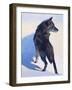 Wolf Study I-Julie Chapman-Framed Art Print