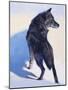Wolf Study I-Julie Chapman-Mounted Art Print